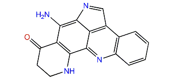 Plakinidine D